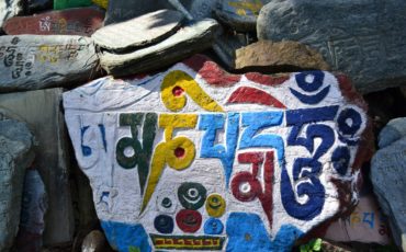 Пух одуванчика. Прошлая жизнь тибетского ламы.